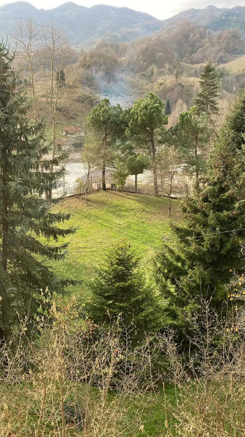Property image 30