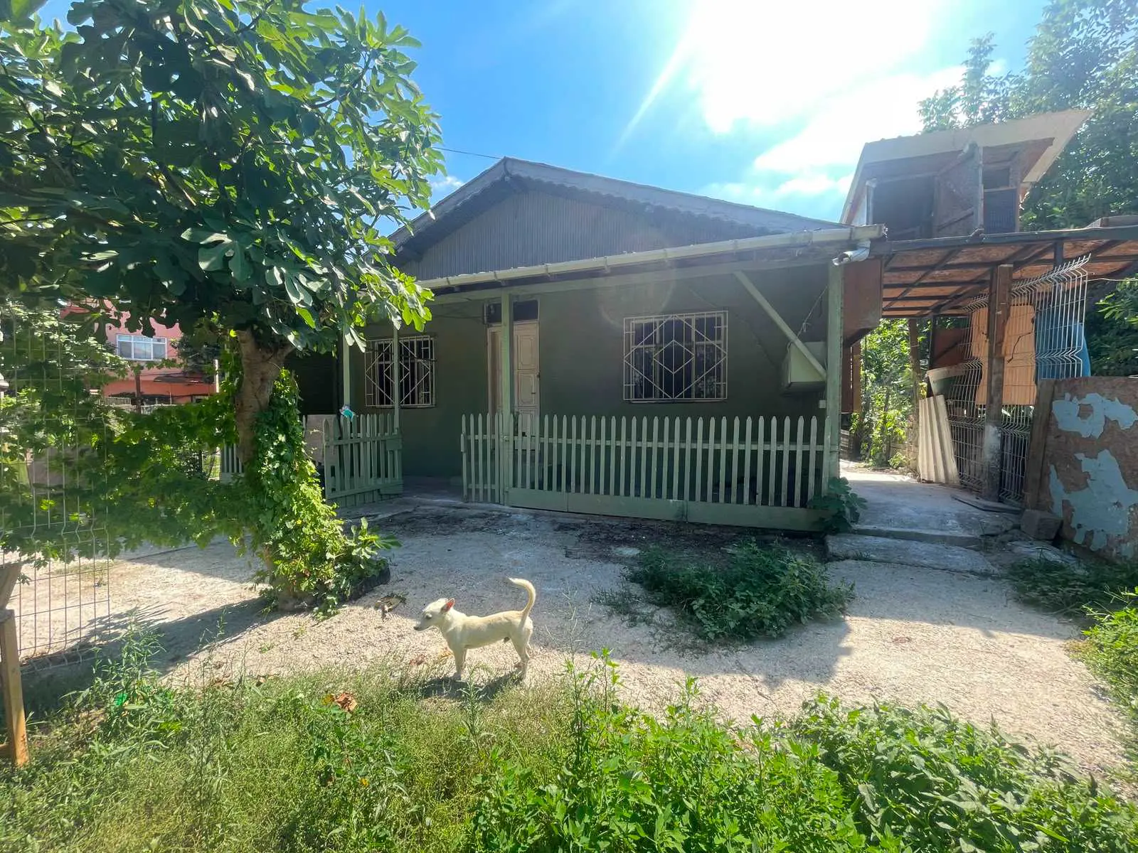 Property image 8