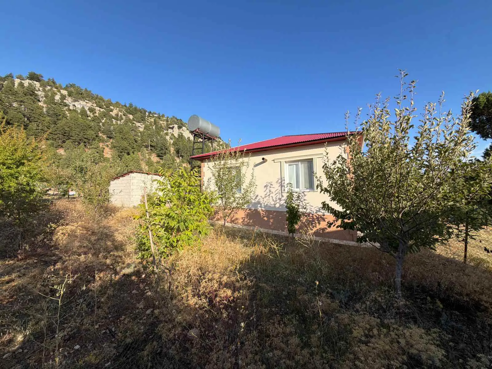 Property image 25