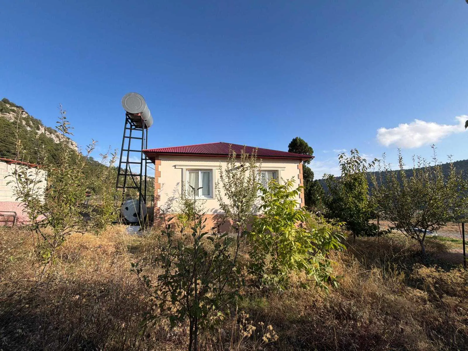 Property image 17