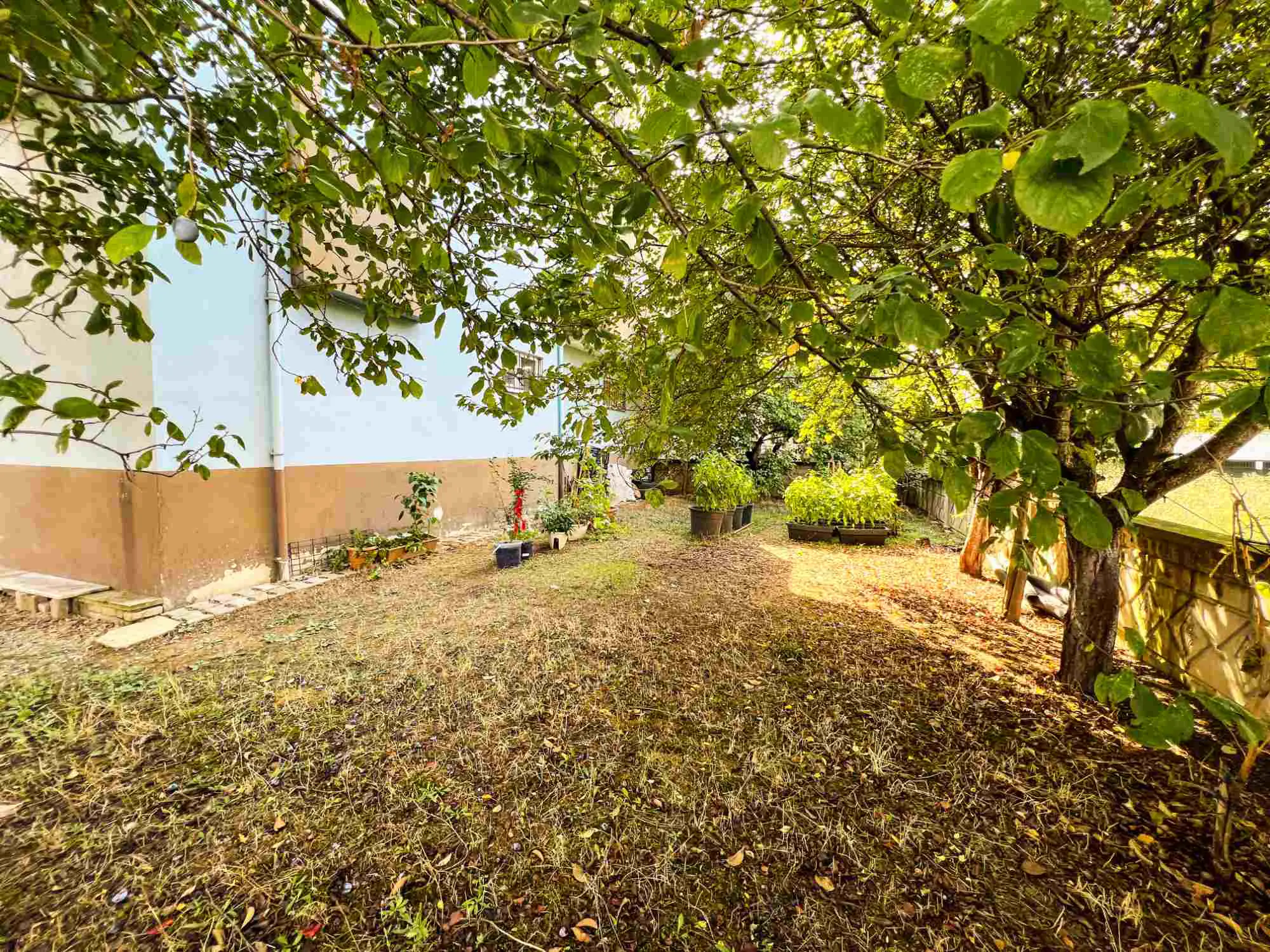Property image 39