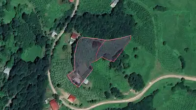 AKKUŞ ÇAYIRALAN-BELALAN MAHALLESİ’NDE SATILIK ARSALAR | 2500 M²