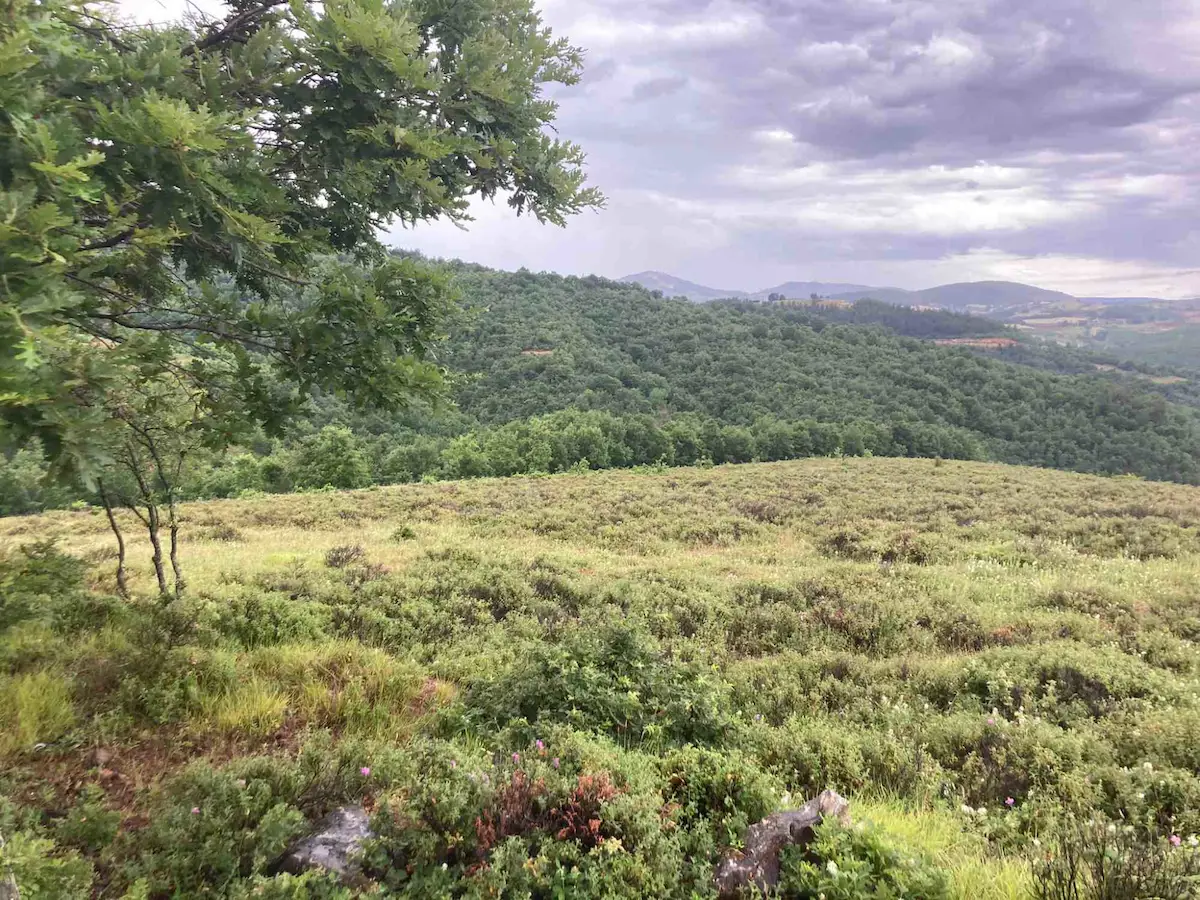 SATILIK TARLA BURSA İZNİK BAYINDIR YOLA CEPHE MÜSTAKİL 16.850 M2 DOĞA VE TURİZM YATIRIMLIK