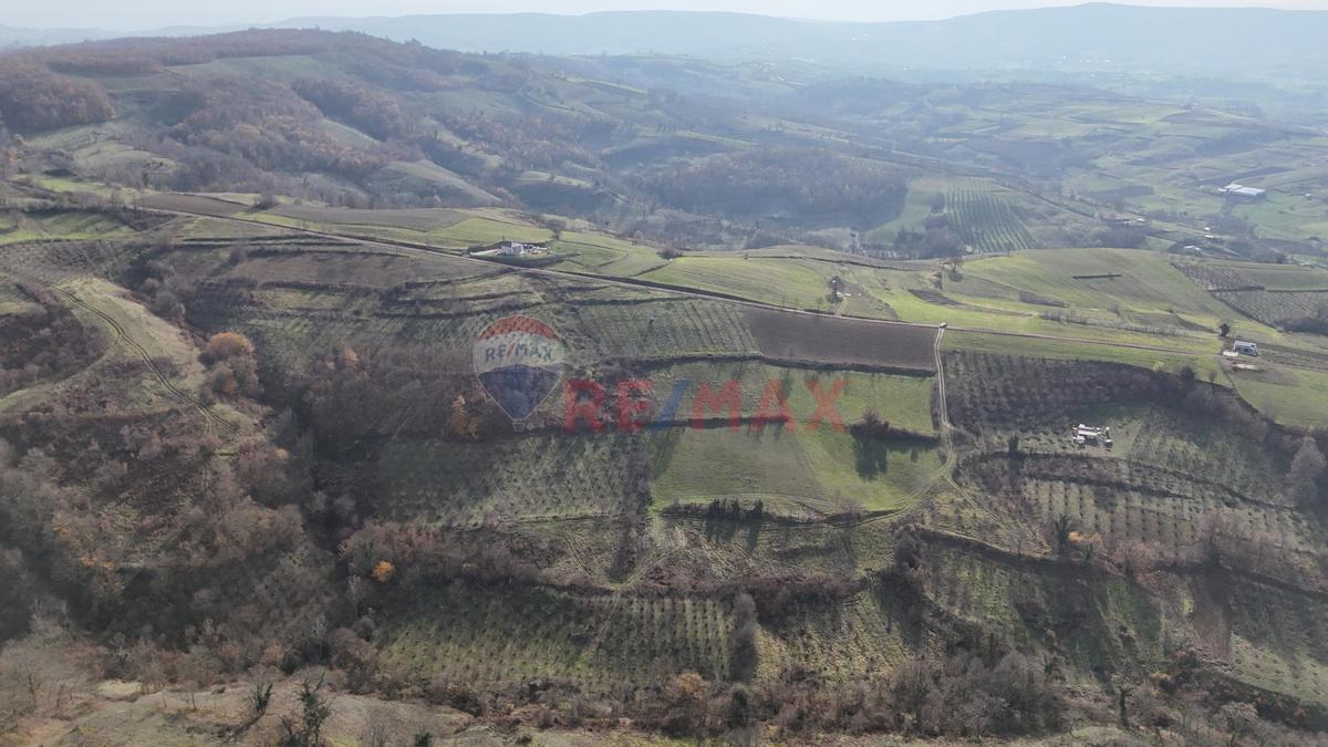 Kocaeli Kandıra Elmacık'ta 7.098 m² Satılık Tarla