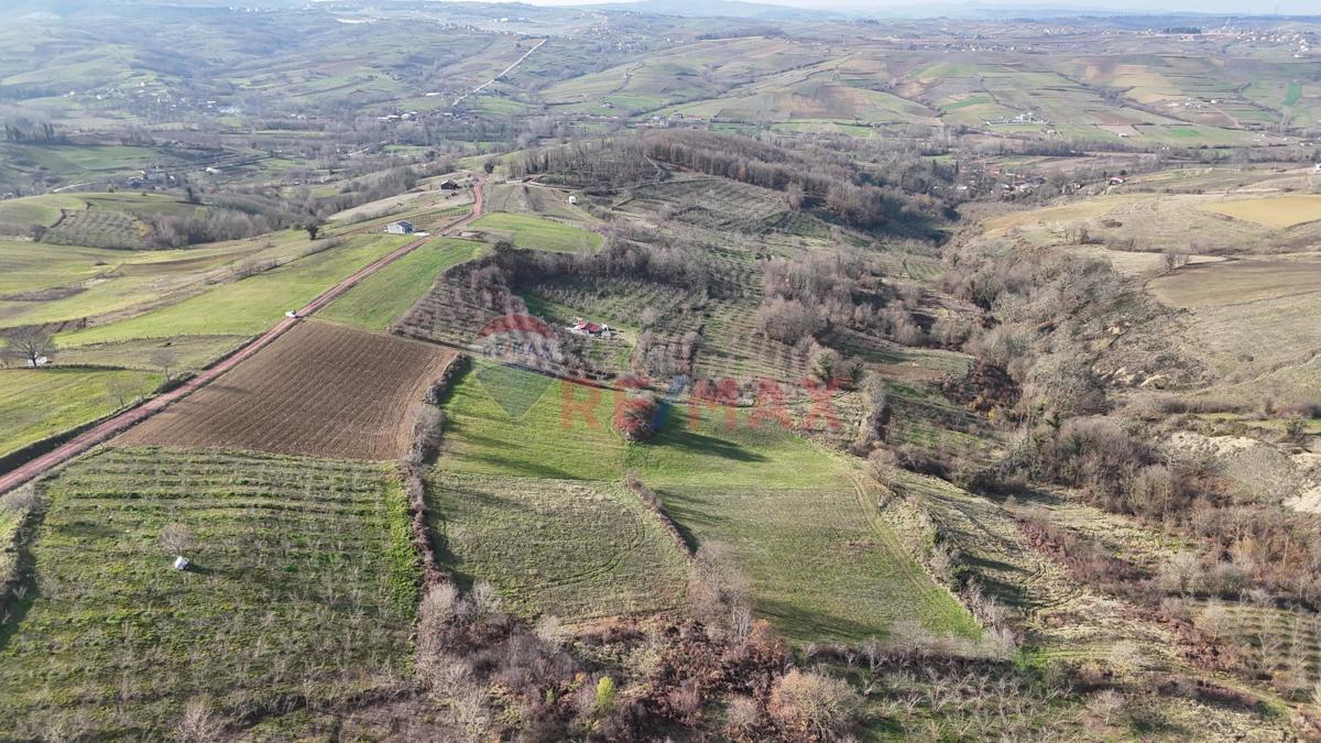 Kocaeli Kandıra Elmacık'ta 7.098 m² Satılık Tarla