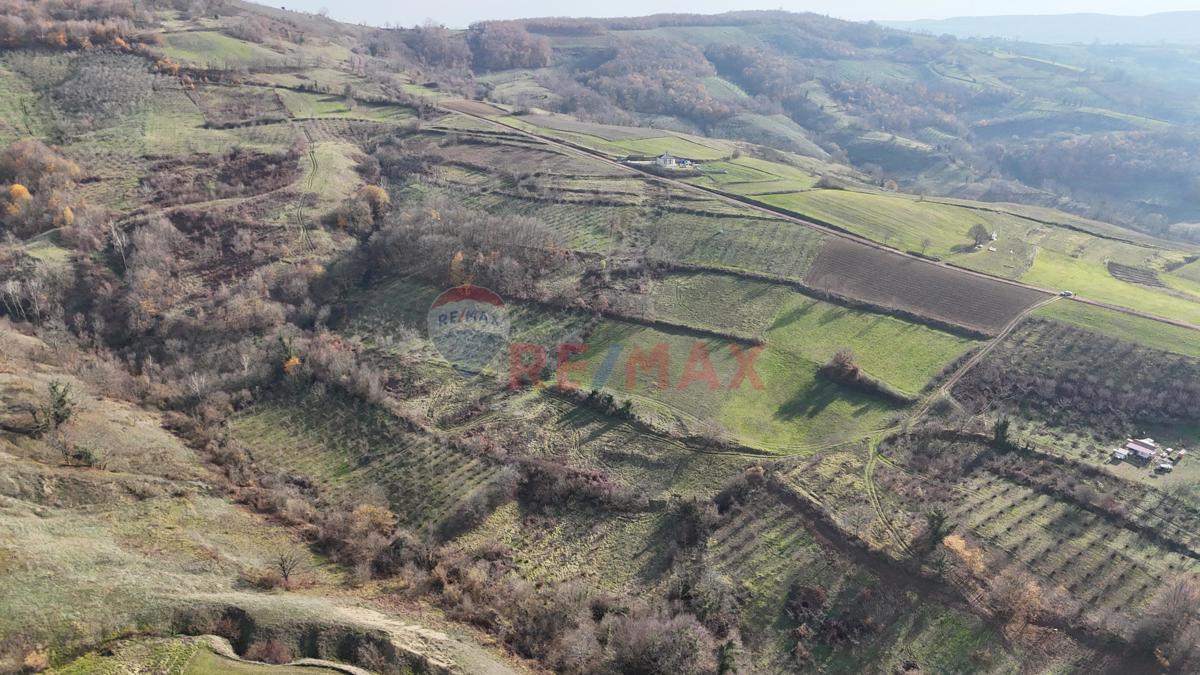 Kocaeli Kandıra Elmacık'ta 7.098 m² Satılık Tarla