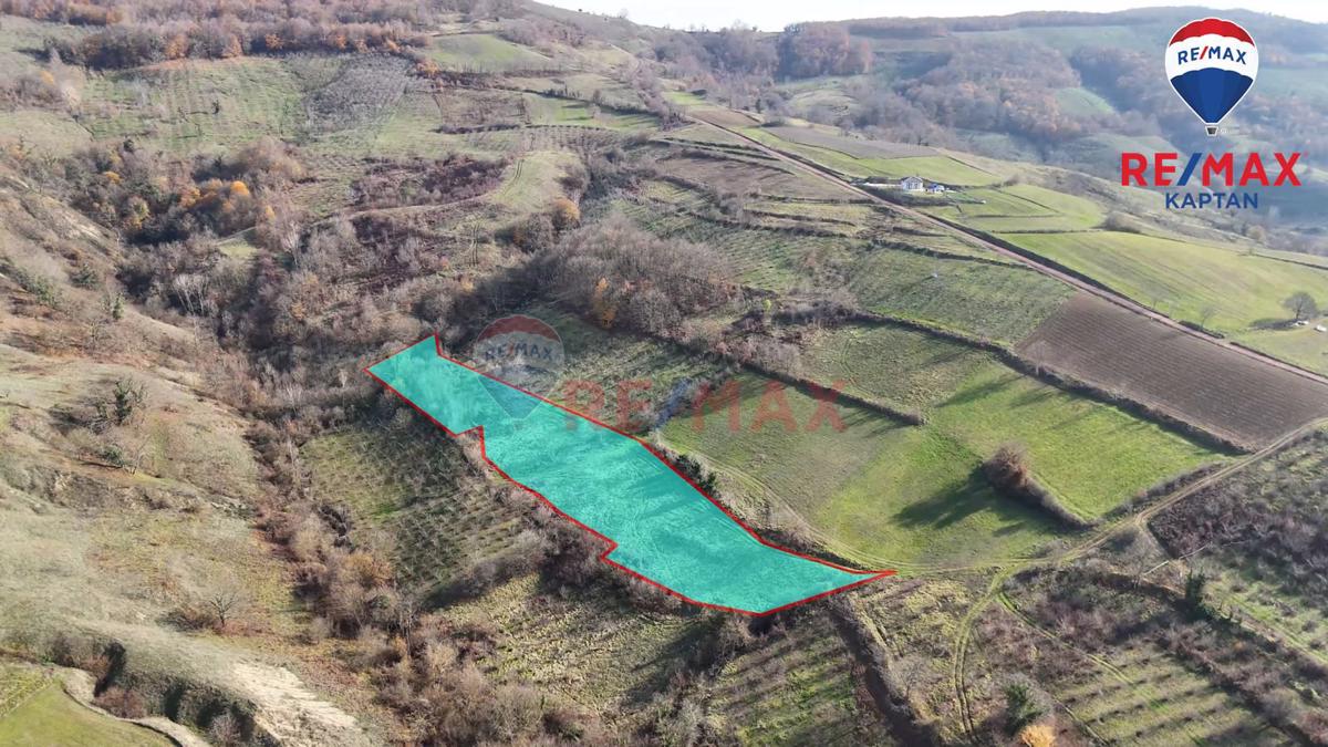 Kocaeli Kandıra Elmacık'ta 7.098 m² Satılık Tarla