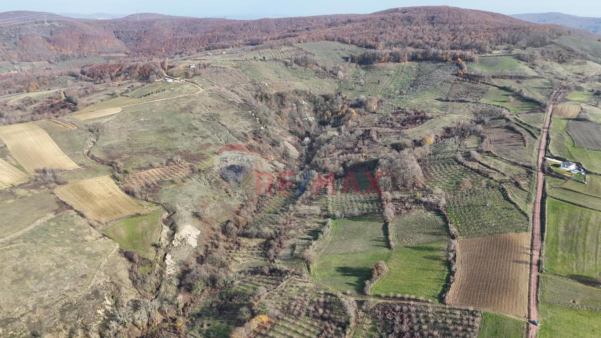 Kocaeli Kandıra Elmacık'ta 7.098 m² Satılık Tarla