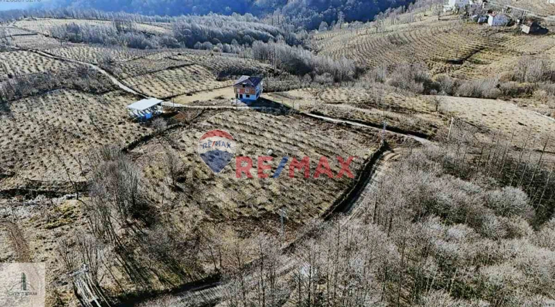 2420 M2 EV YAPILIR FINDIKLIK KUMRU DEREKÖYDE YOLU OLAN