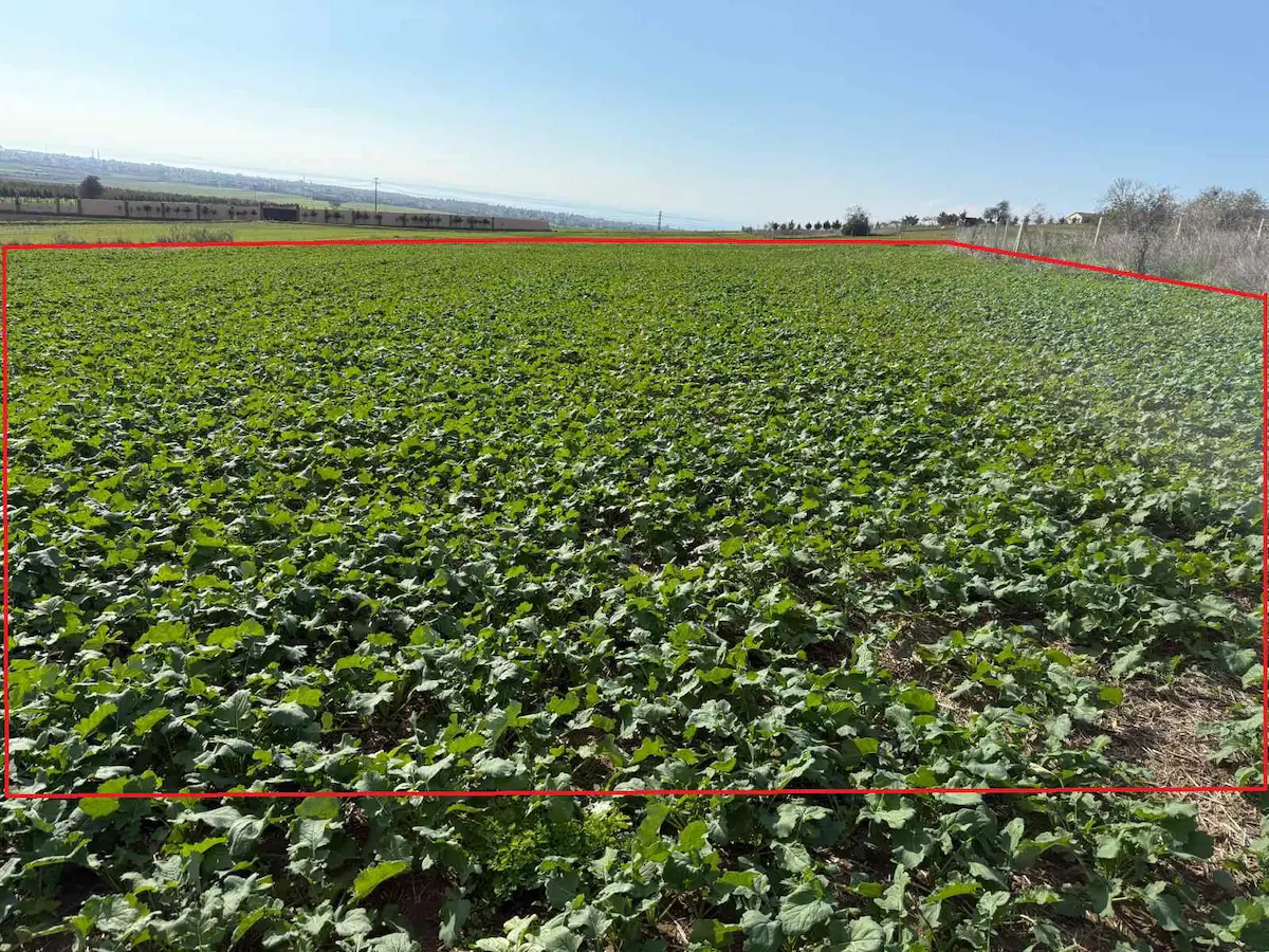 REMAX ARİF'DEN YENİÇİFTLİK ESKİBAĞLARDA ACİLL!! SATILIK 2820 M2