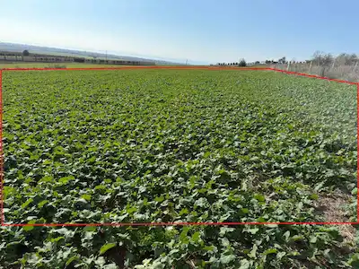 REMAX ARİF'DEN YENİÇİFTLİK ESKİBAĞLARDA ACİLL!! SATILIK 2820 M2