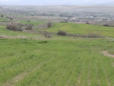 KOCASINAN BARSAMADA BÜNYAN KAVŞAĞINA YAKIN SATILIK TARLA