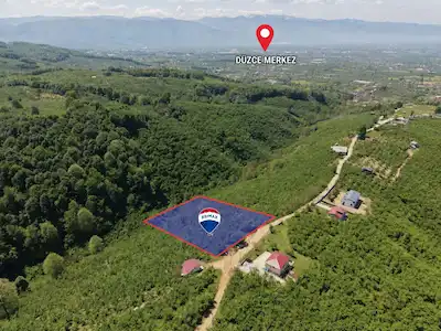 REMAX DIA'DAN GÜNBAŞI KÖYÜ 8591 M2 SATILIK FINDIK BAHÇESI