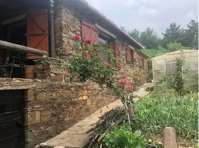 BAYINDIR ÇINARDİBİ'NDE 1654M² ARAZİ İÇİNDE 2+1 SATILIK TAŞ EV