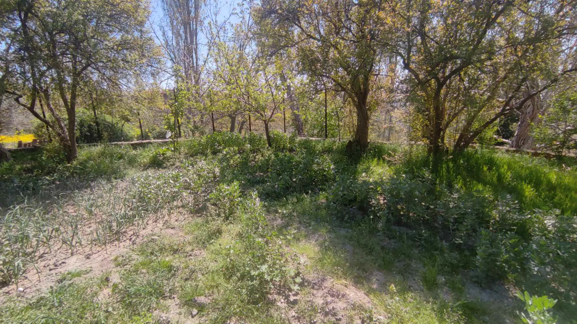 Property image 24