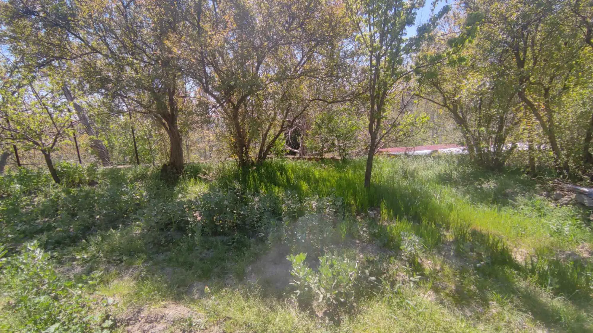 Property image 27