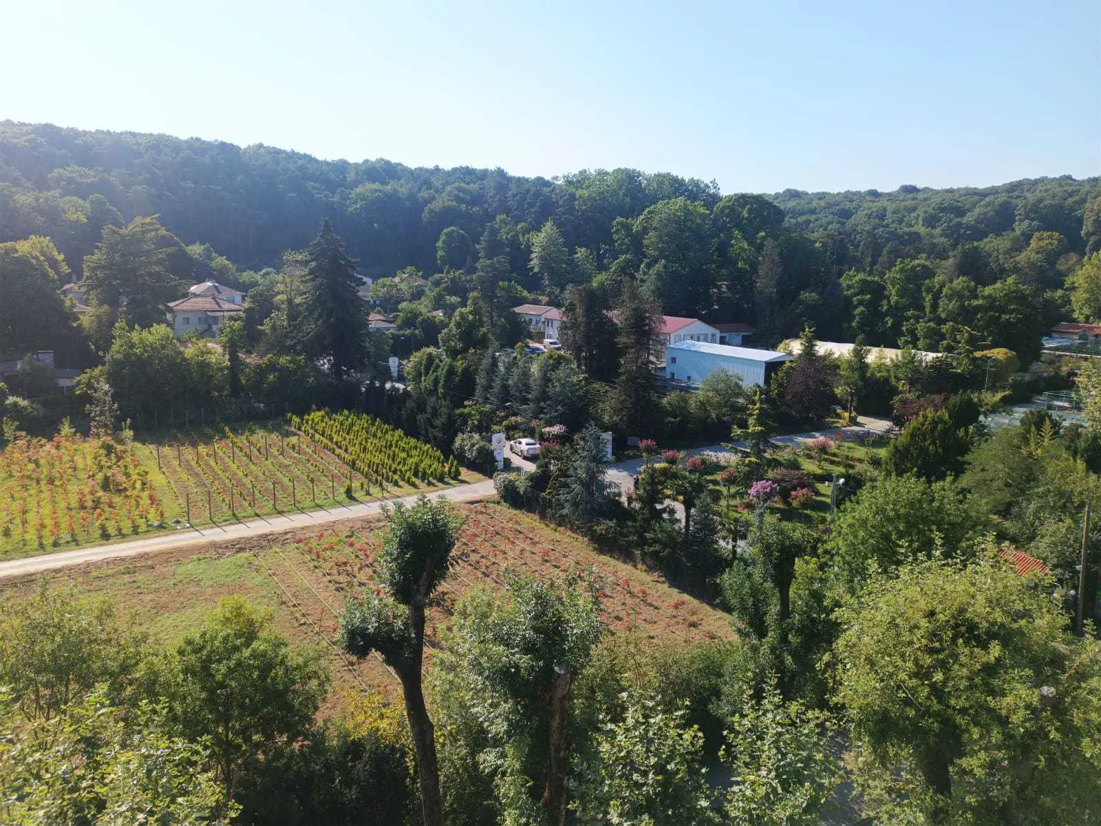 Property image 36