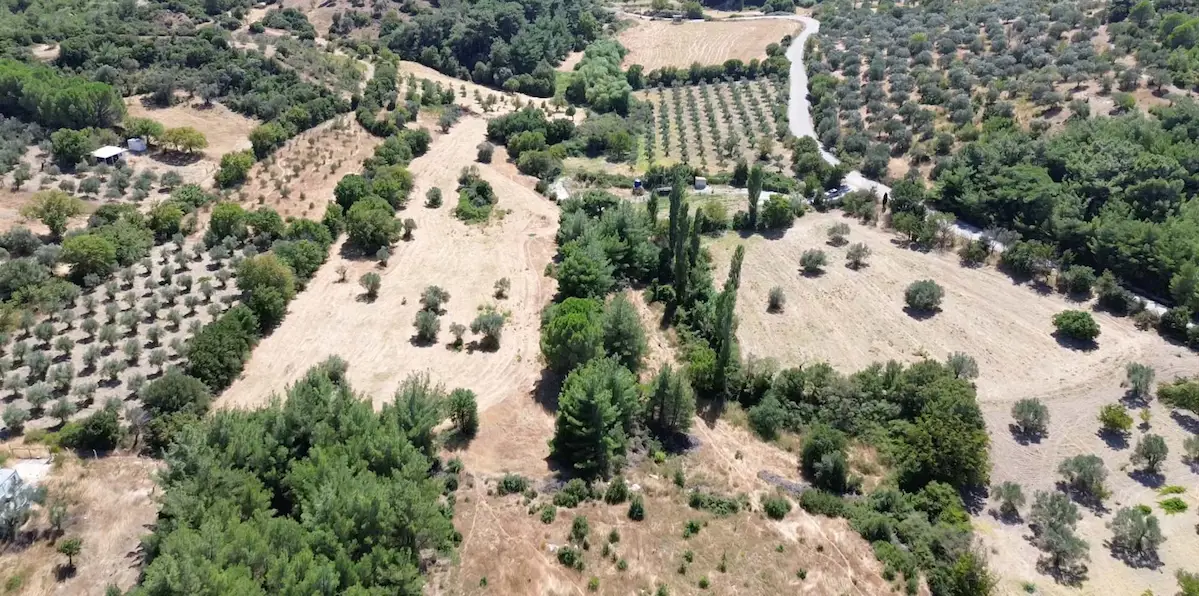 BERGAMA ÖRLEMİŞ'TE DOĞA İÇİNDE YOLA CEPHELİ 12.230 M² TARLA