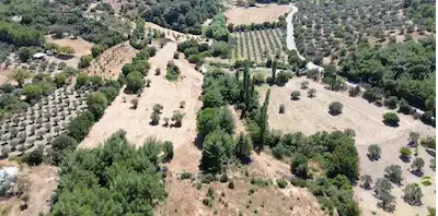 BERGAMA ÖRLEMİŞ'TE DOĞA İÇİNDE YOLA CEPHELİ 12.230 M² TARLA