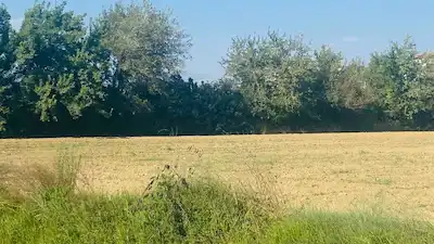 MANAVGAT ÇELTIKÇI MAHALLESINDE 900M2 KONUT IMARLI ARSA