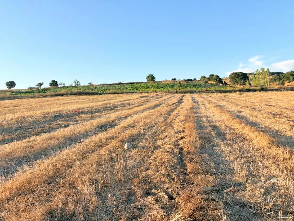Property image 36