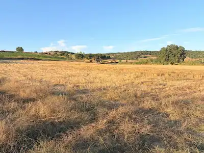 BALIKESİR İVRİNDİ ÇARKACI’DA SATILIK VERİMLİ TARIM ARAZİSİ
