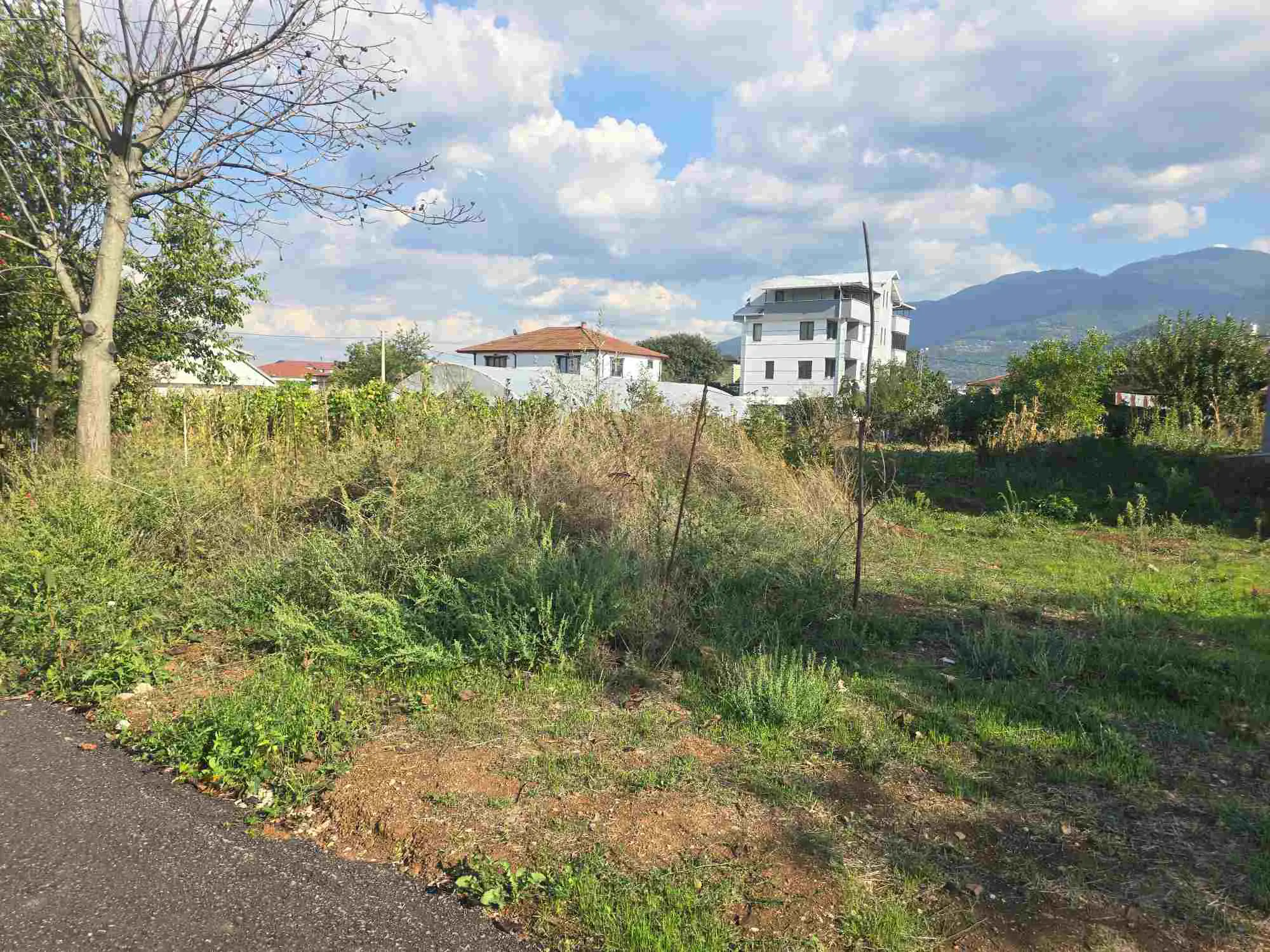 Property image 24