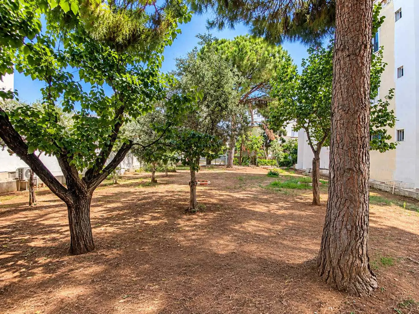 Property image 36