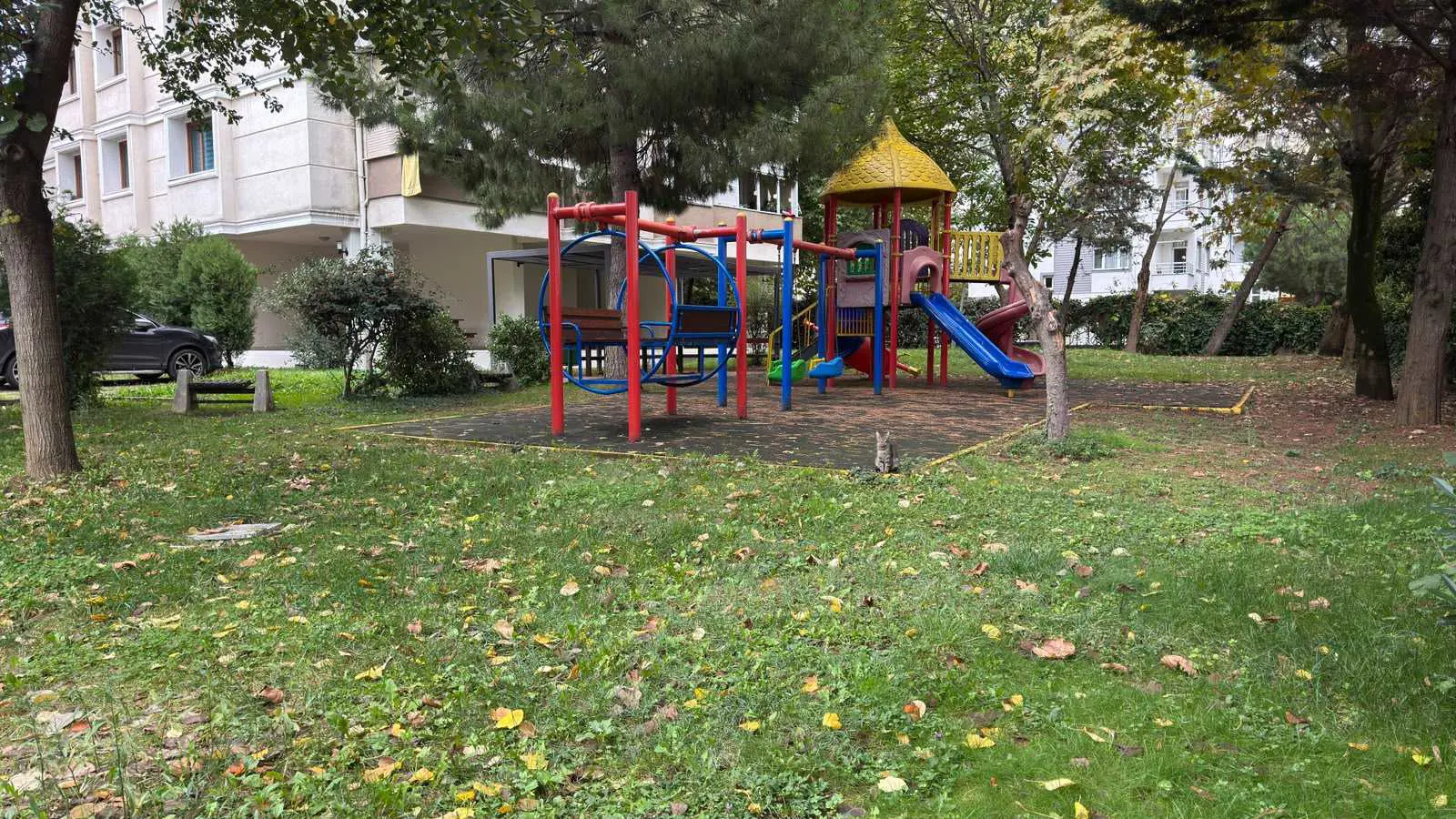 Property image 23