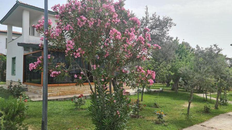 AYVALIK DOĞALKENT SİTESİ 4+1 MÜSTAKİL VİLLA