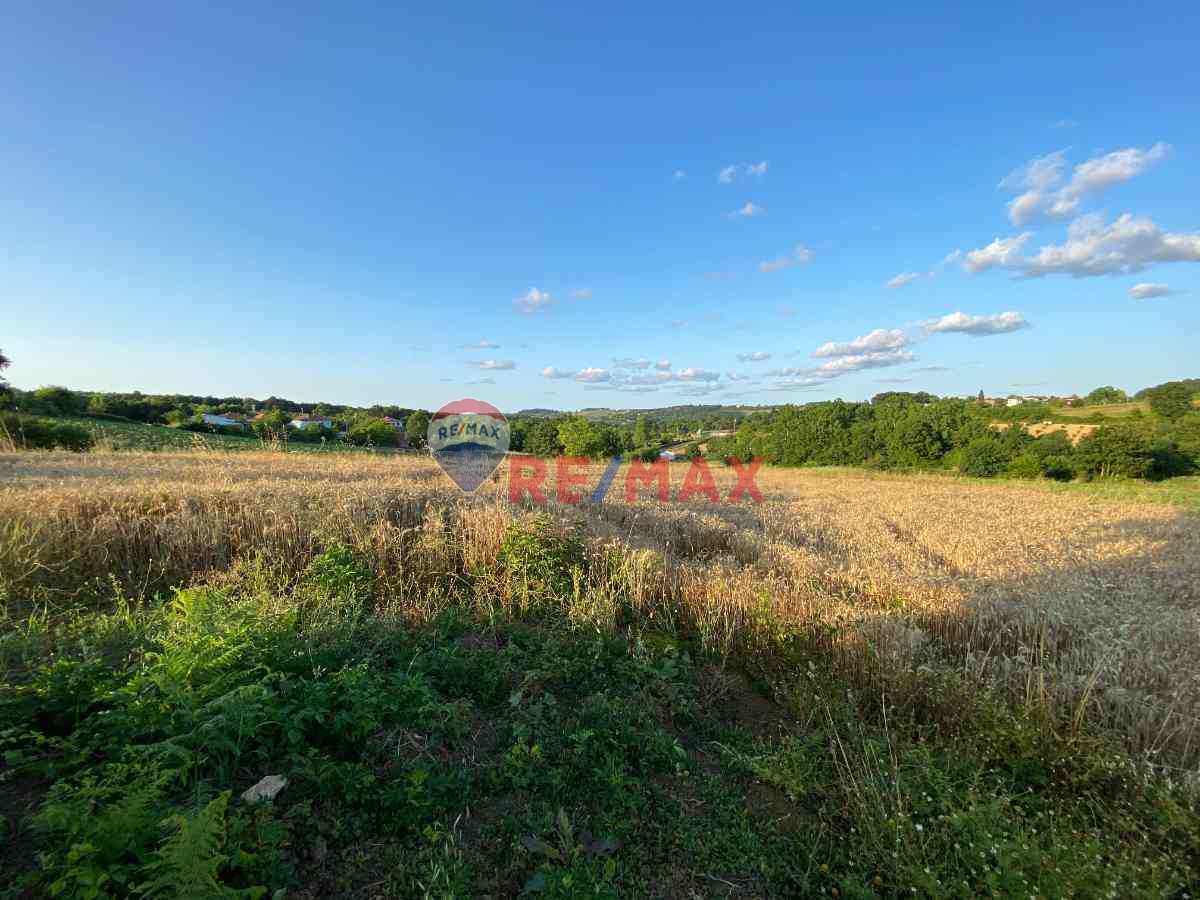 1254188771 REMAX ÇARŞI'DAN DOĞA İÇİNDE 3007M² FIRSAT TARLA