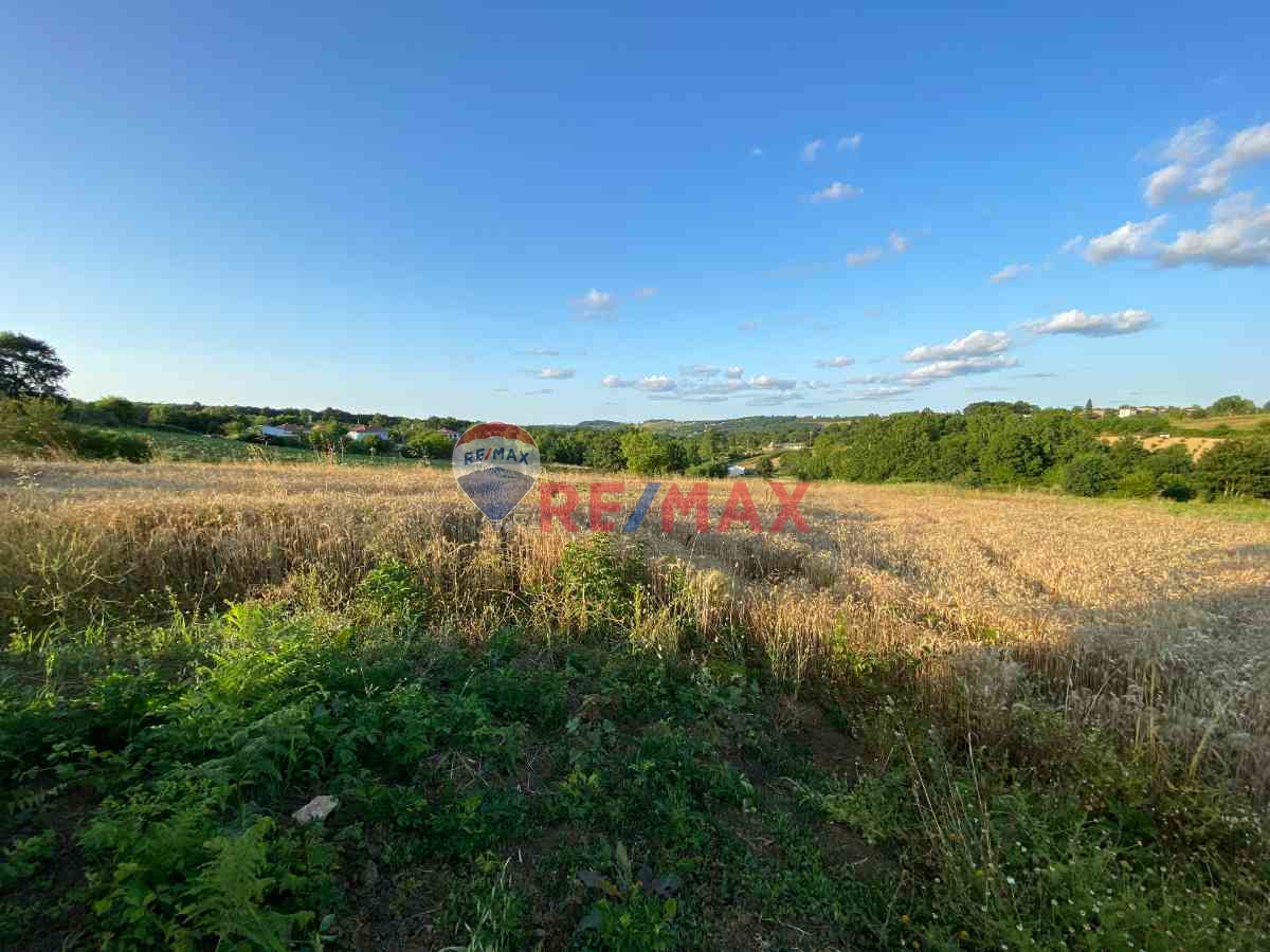 1254188771 REMAX ÇARŞI'DAN DOĞA İÇİNDE 3007M² FIRSAT TARLA