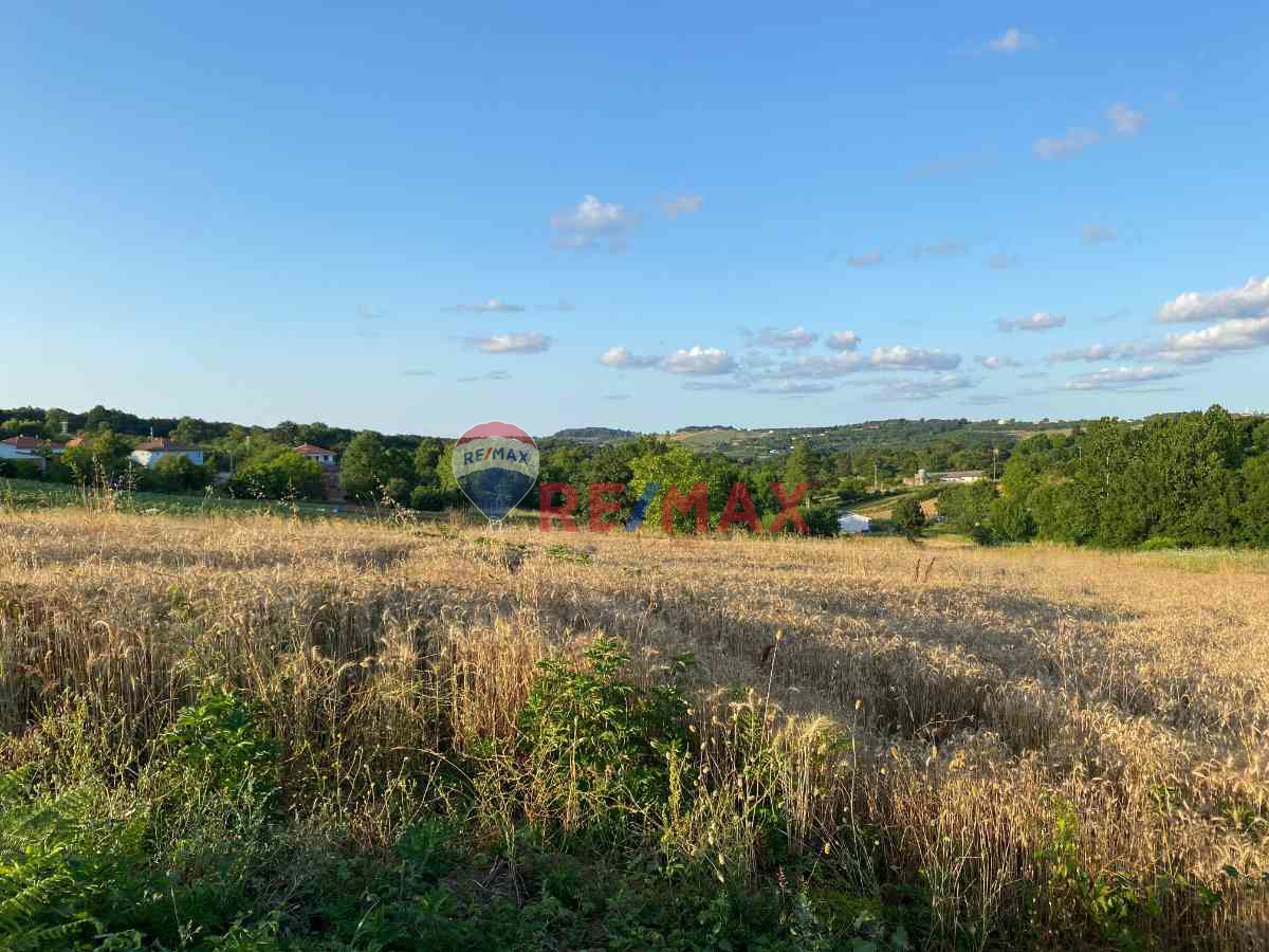 1254188771 REMAX ÇARŞI'DAN DOĞA İÇİNDE 3007M² FIRSAT TARLA