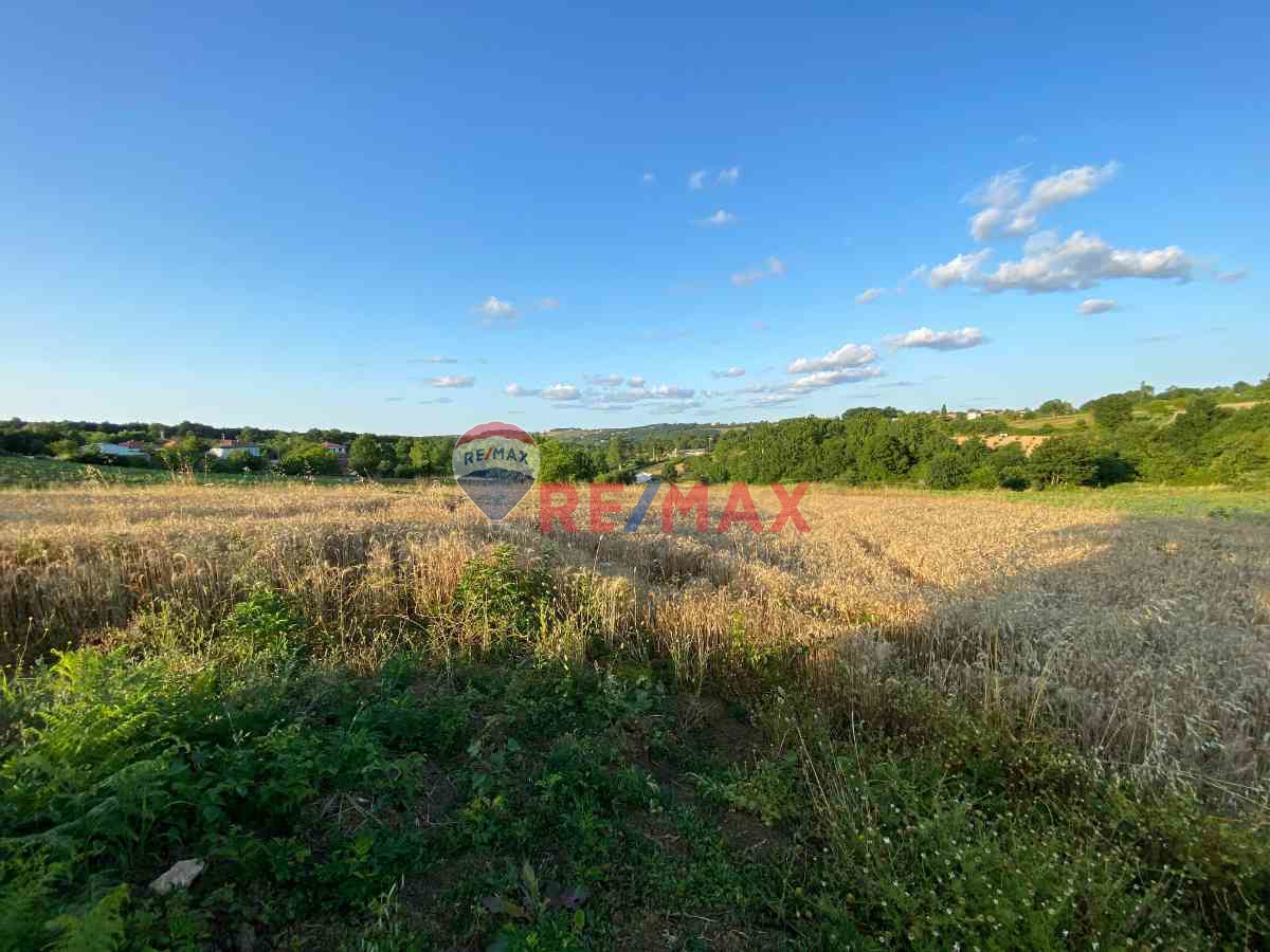 1254188771 REMAX ÇARŞI'DAN DOĞA İÇİNDE 3007M² FIRSAT TARLA