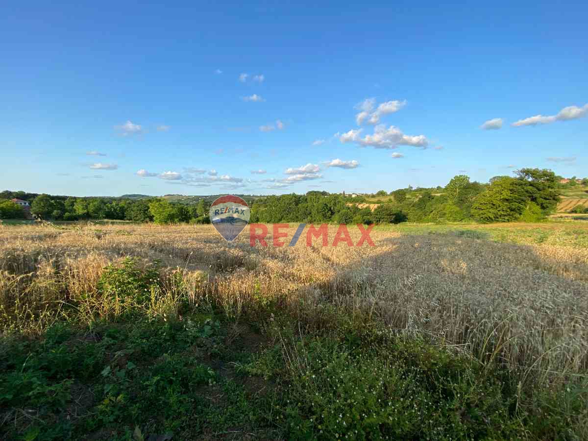 1254188771 REMAX ÇARŞI'DAN DOĞA İÇİNDE 3007M² FIRSAT TARLA