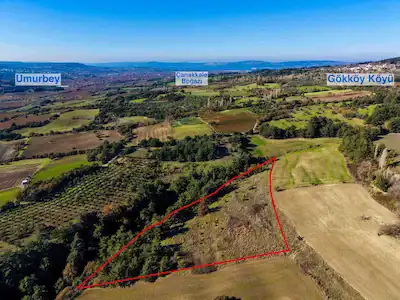 ÇANAKKALE LAPSEKI GÖKKÖYDE 11 DÖNÜM SATILIK TARLA