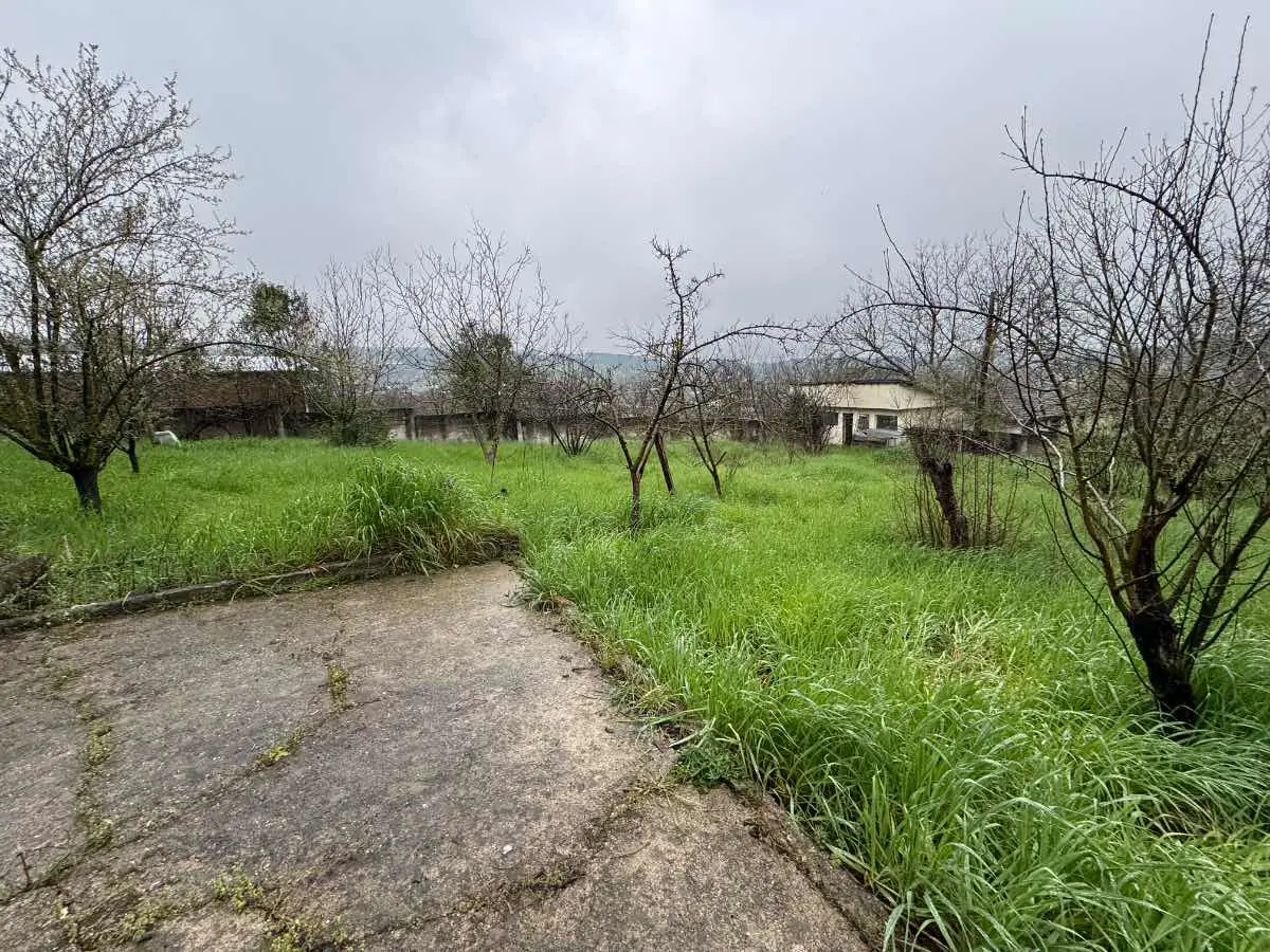Property image 17