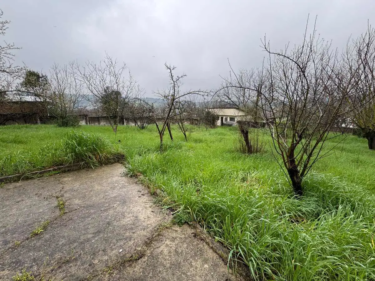 Property image 18