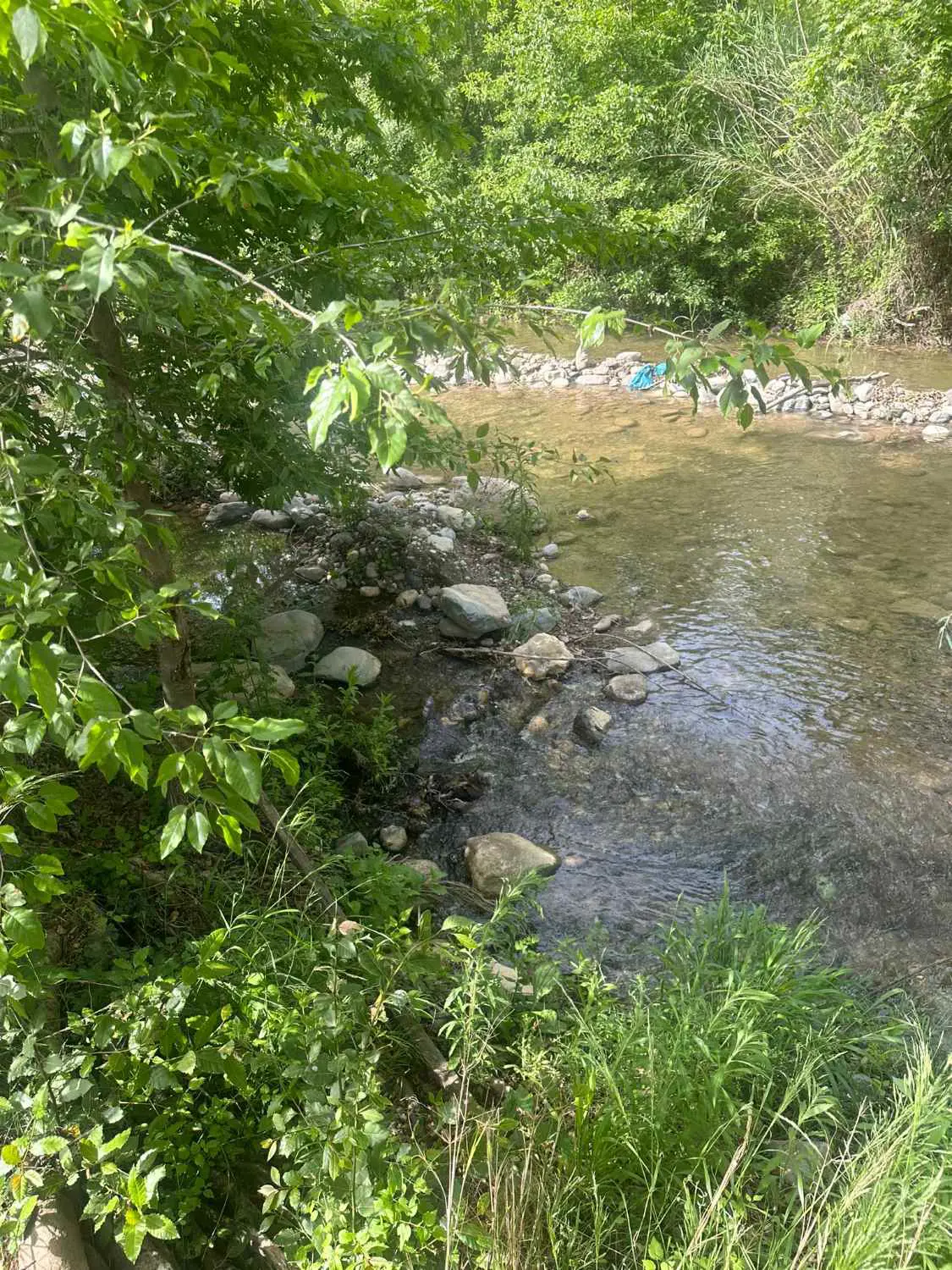 Property image 18
