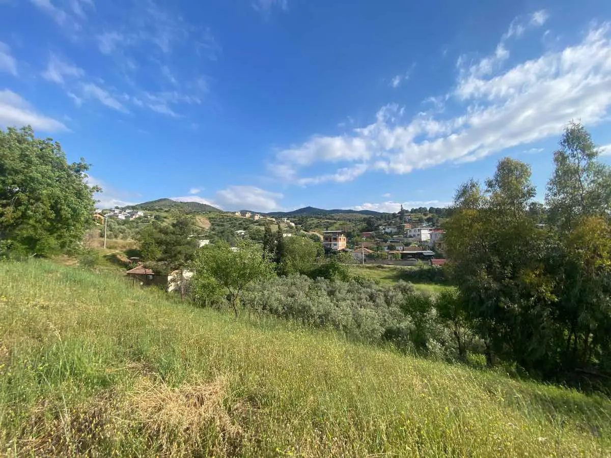 Property image 18