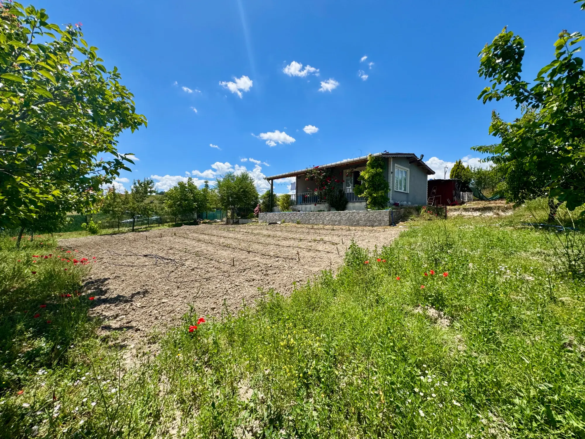 Property image 18
