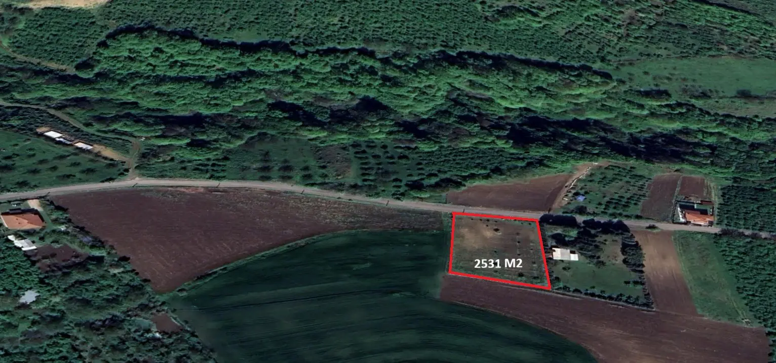 Property image 6