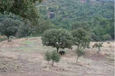ÇANAKKALE PAŞAKÖY'DE  SATILIK BÜYÜK YATIRIMLIK TARLA