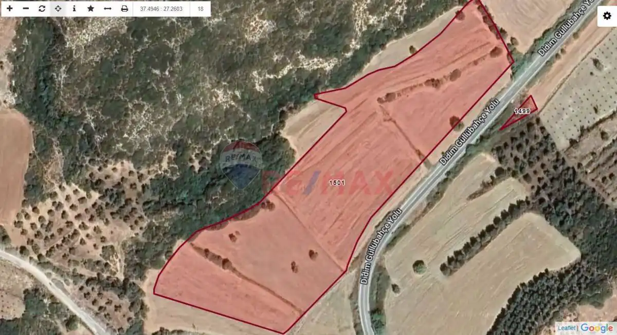 Property image 6