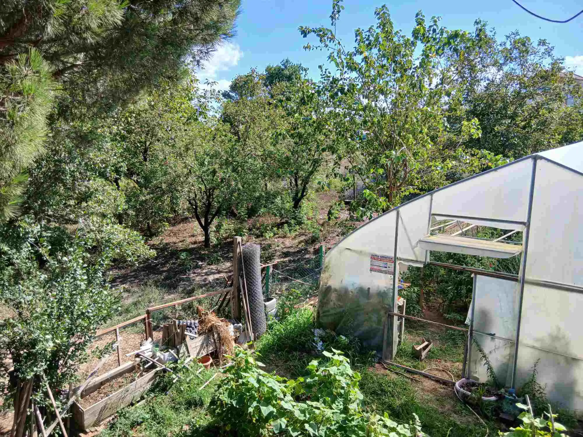 Property image 43