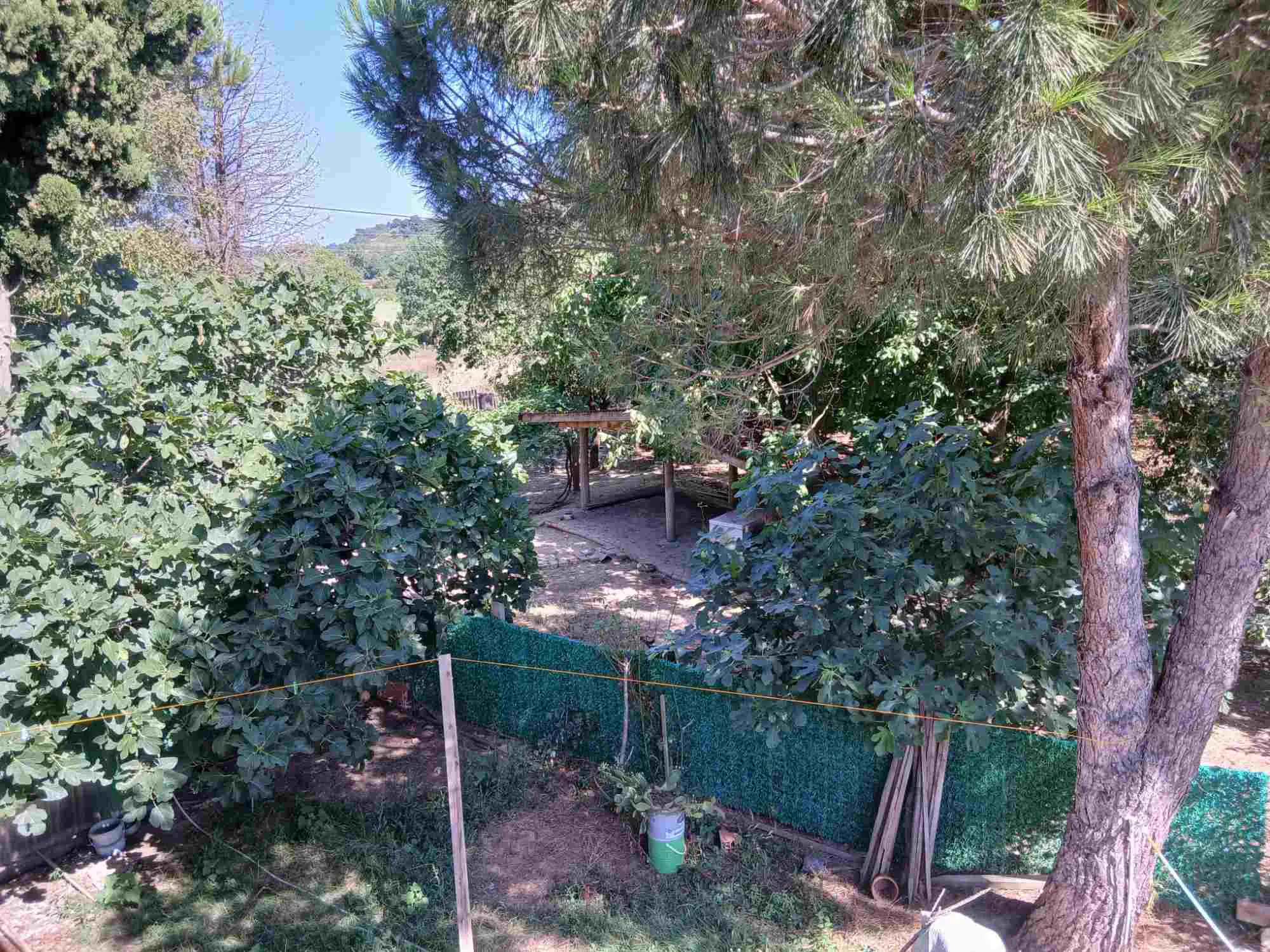 Property image 42
