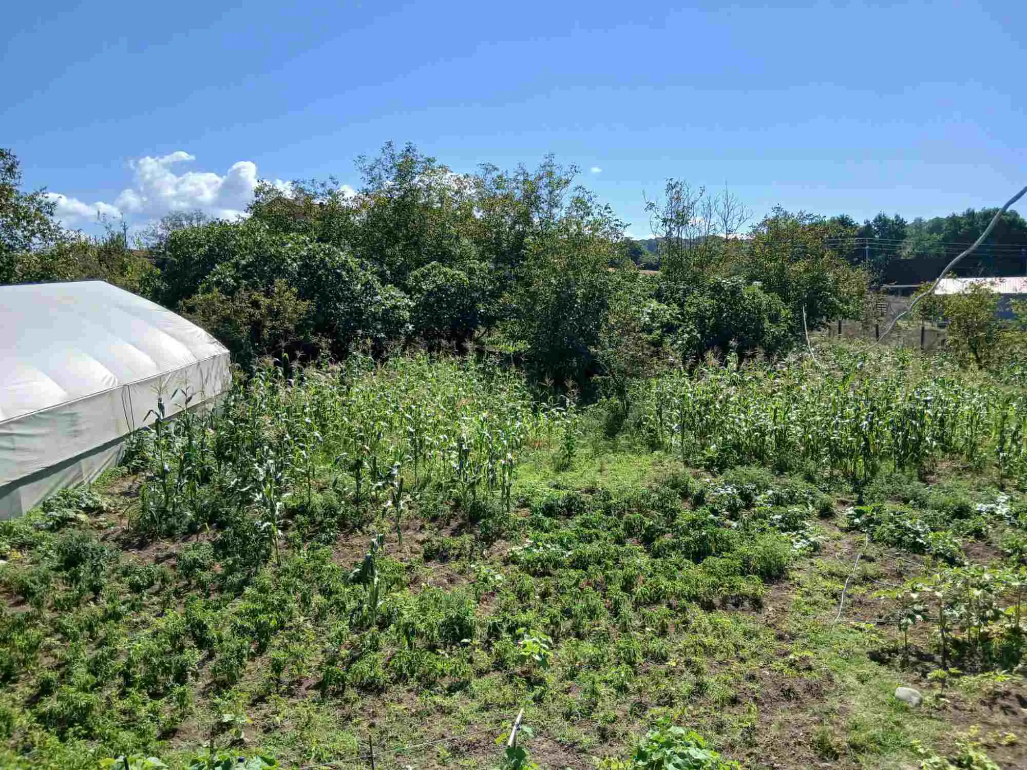 Property image 45