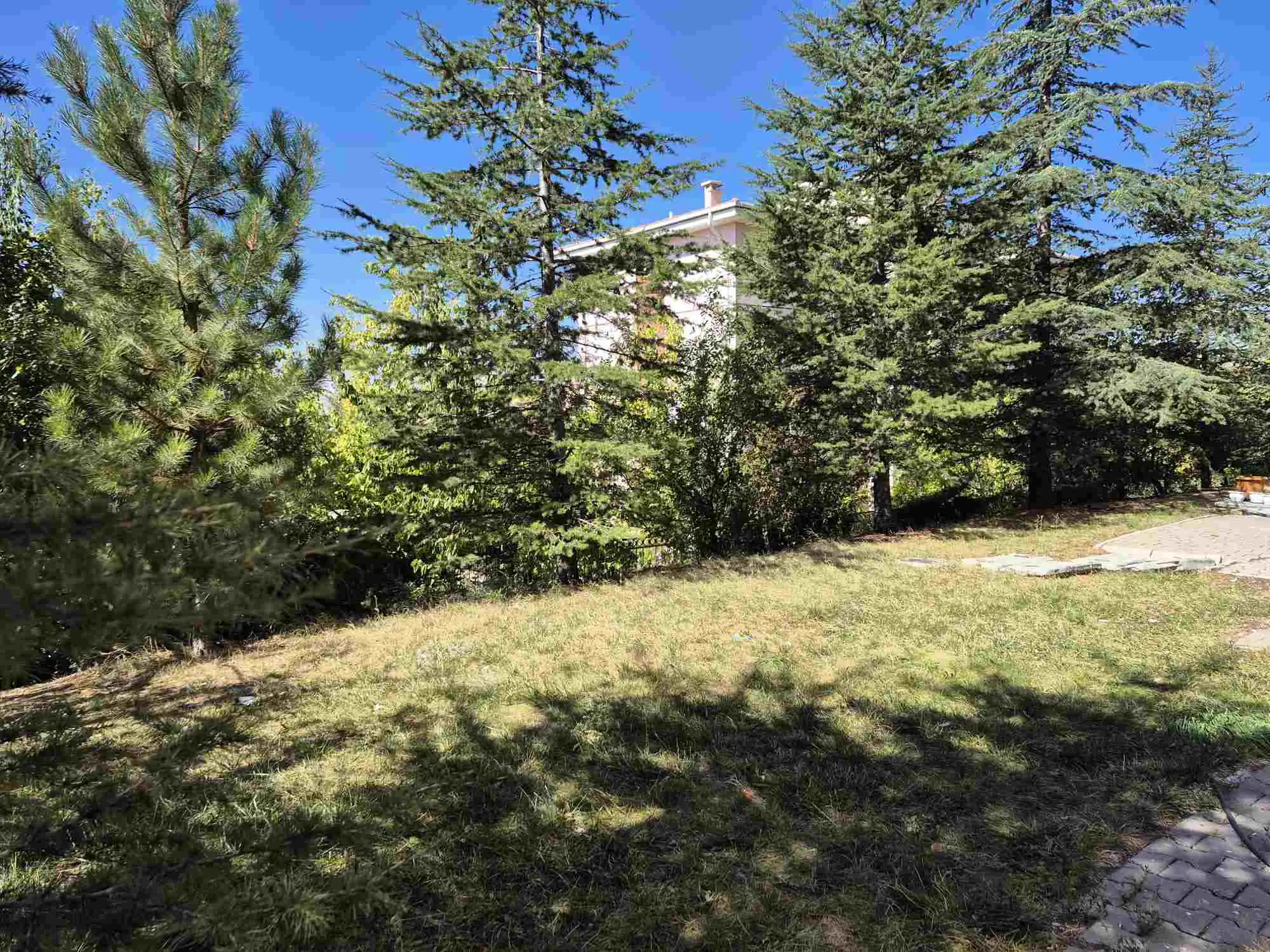 Property image 30
