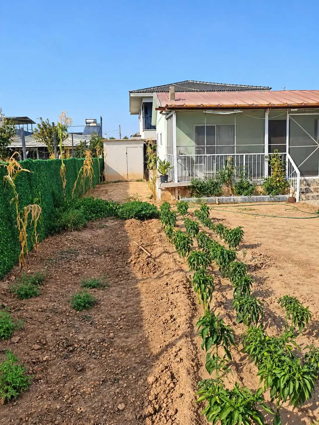 Property image 17