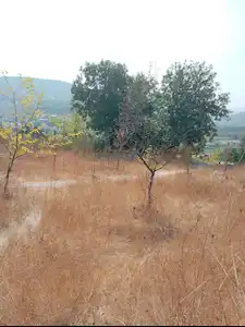 REMAX MID OFISINDEN DEREÇIFTLIKTE SATILIK TARLA